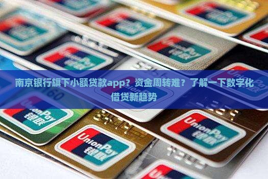 南京银行旗下小额贷款app