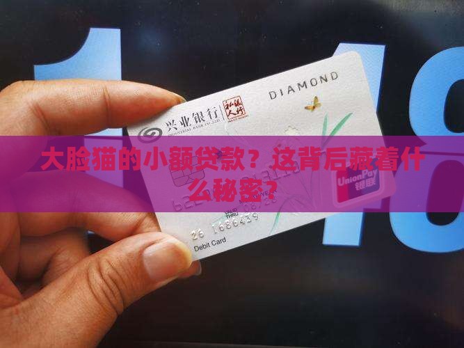大脸猫小额贷款