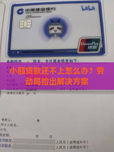 劳动局的小额贷款还不上
