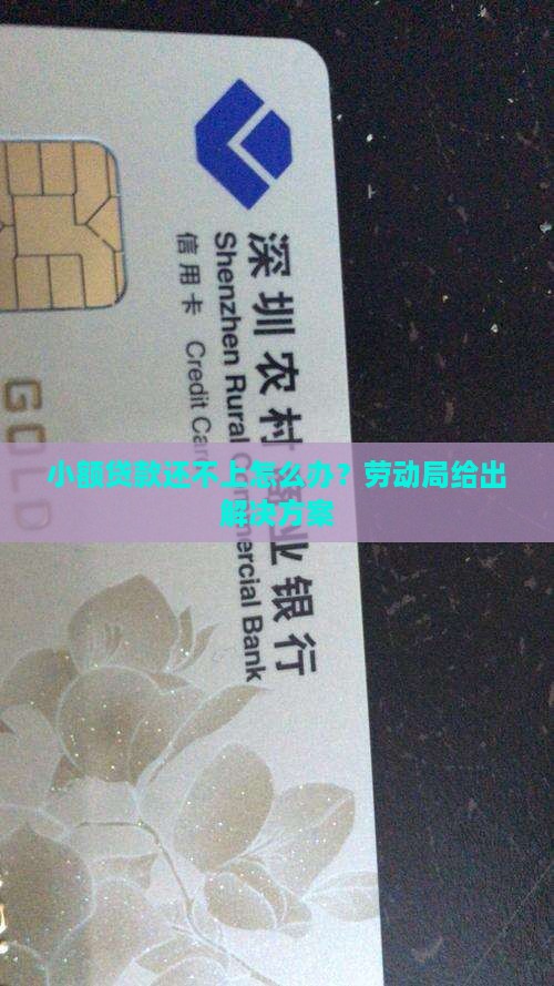 劳动局的小额贷款还不上