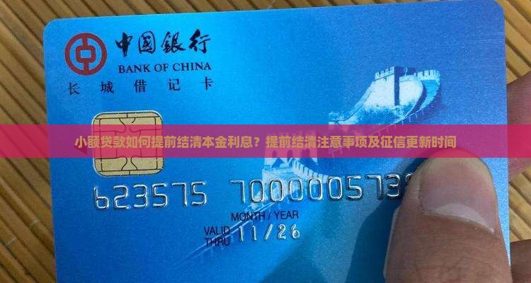 小额贷款如何提前结清