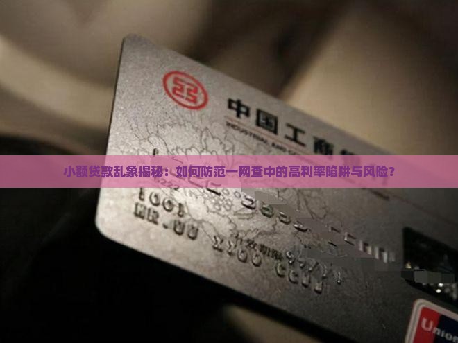 小额贷款一网查 小额贷款一网查