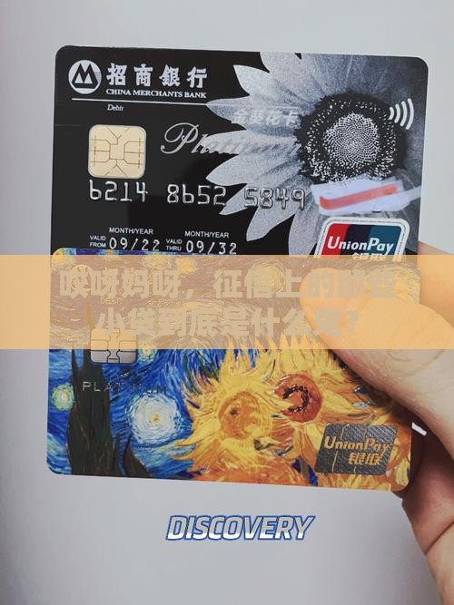 征信上那些小额贷款