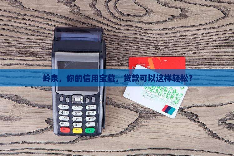 岭泉信用贷款