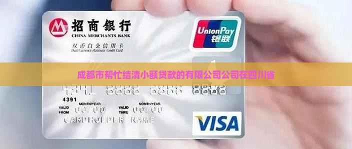 帮忙结清小额贷款的公司