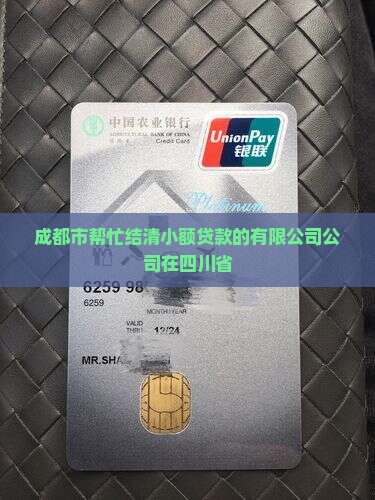帮忙结清小额贷款的公司