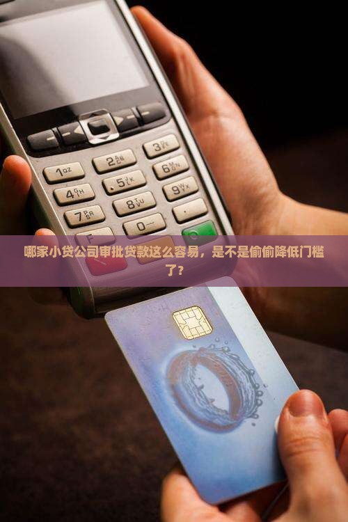 小贷公司贷款好通过吗 小贷公司贷款好通过吗