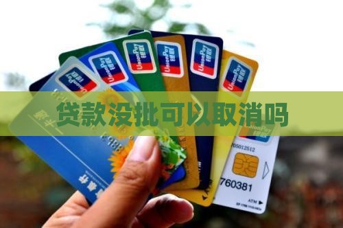 小额贷款没批能取消吗
