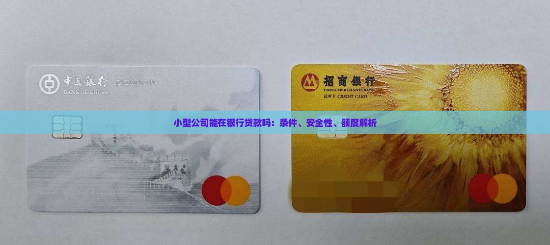 小型公司能在银行贷款吗
