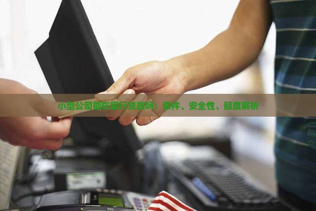 小型公司能在银行贷款吗