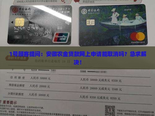 安徽农金贷款网上申请可以取消吗