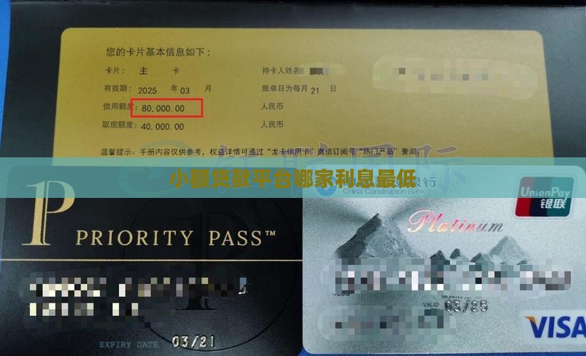 小额贷款什么贷款利息低
