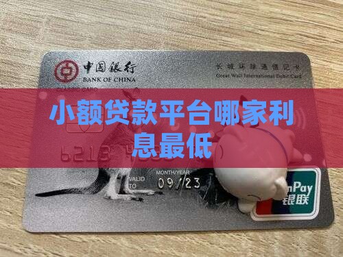 小额贷款什么贷款利息低