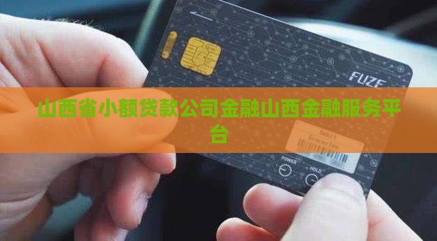 山西小额贷款协会网站