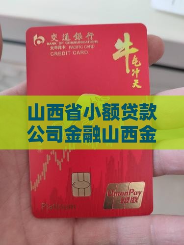山西小额贷款协会网站