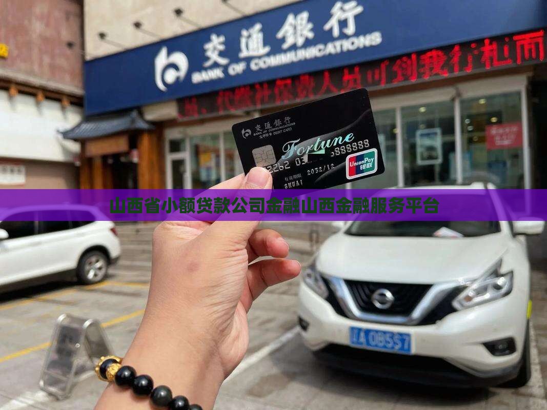 山西小额贷款协会网站
