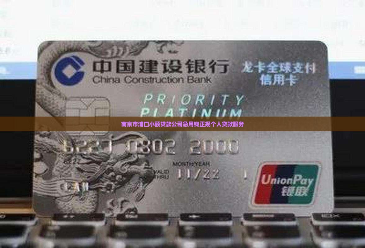 南京市浦口小额贷款