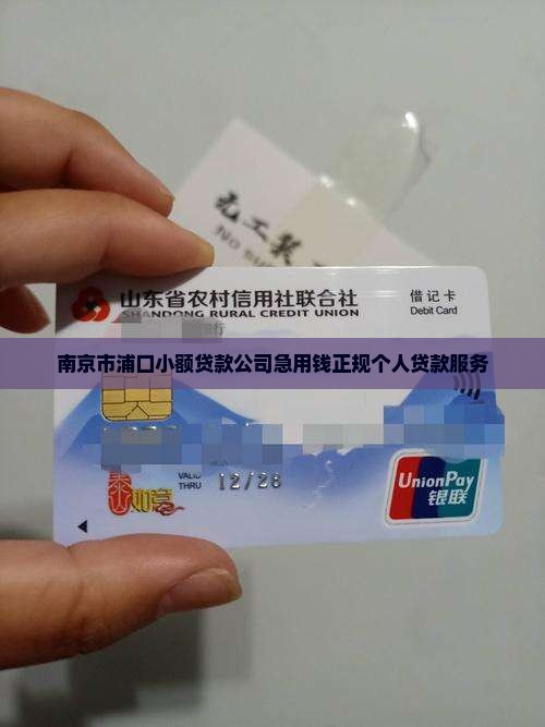 南京市浦口小额贷款