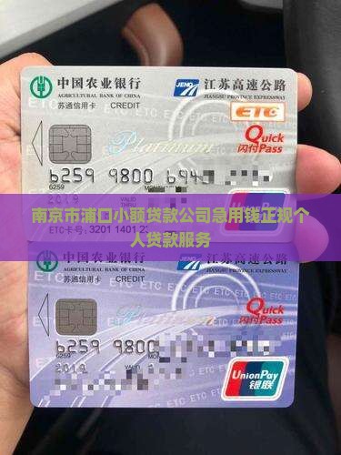 南京市浦口小额贷款
