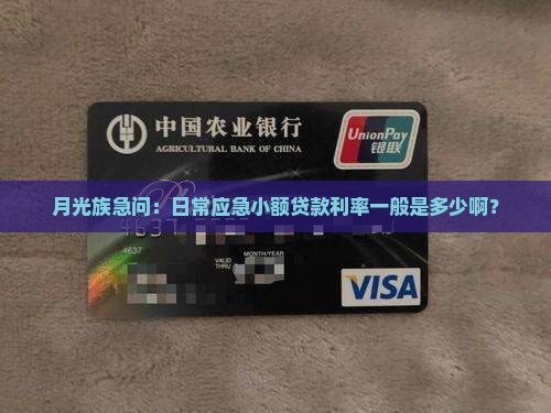 小额贷款利率现在多少
