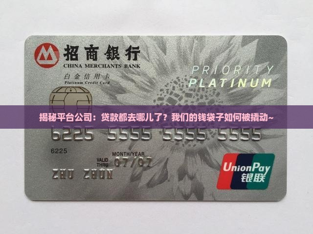 平台公司贷款投向