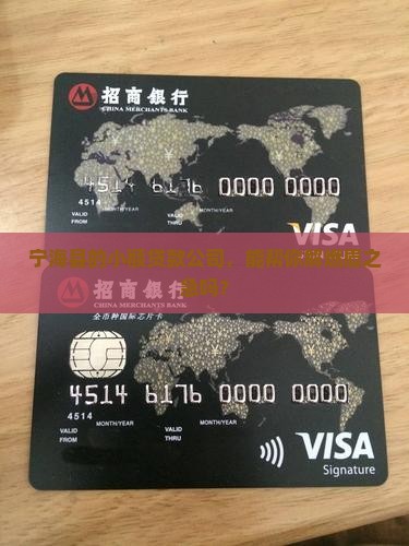 宁海县小额贷款股份
