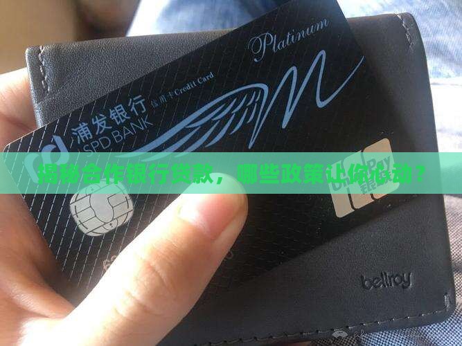 合作银行贷款政策