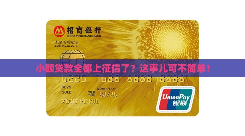 小额贷款全部上征信