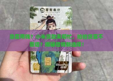 小米贷款拍拍贷