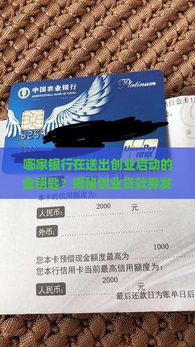 哪些银行发放创业贷款券