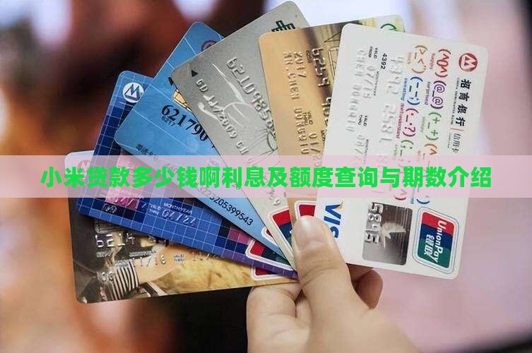 小米贷款多少钱啊