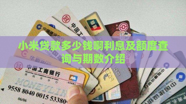小米贷款多少钱啊