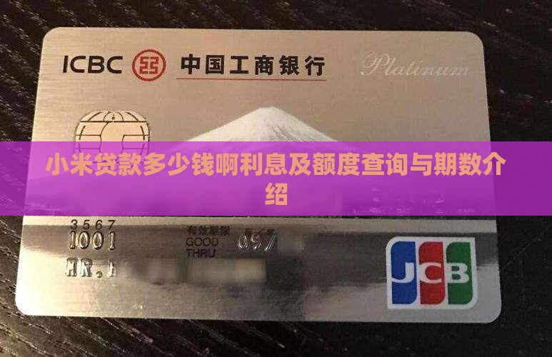 小米贷款多少钱啊