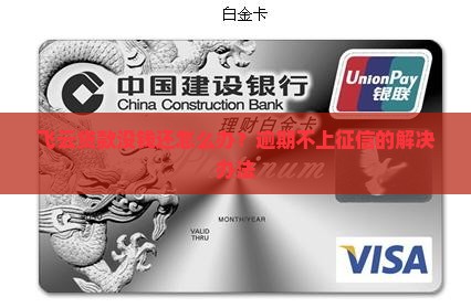 在达飞云贷贷款了没钱还怎么办呢