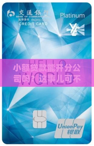 小额贷款可以开分公司吗