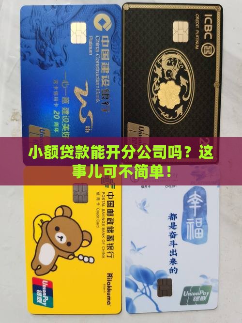 小额贷款可以开分公司吗