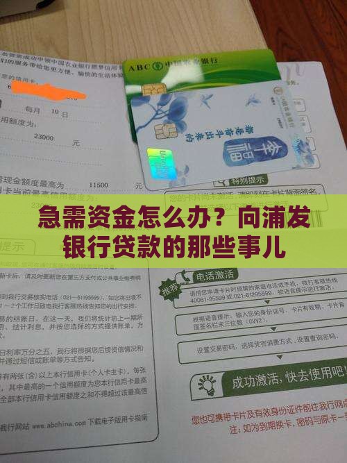 怎么向浦发银行贷款