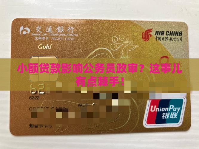 小额贷款公务员政审