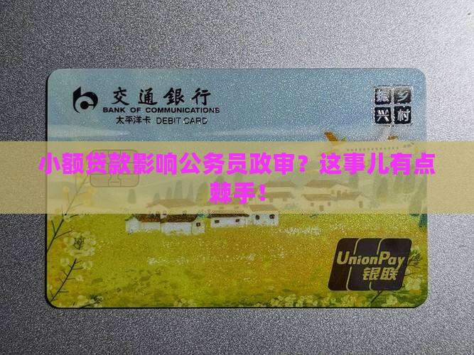 小额贷款公务员政审