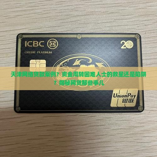天津网络贷款案例