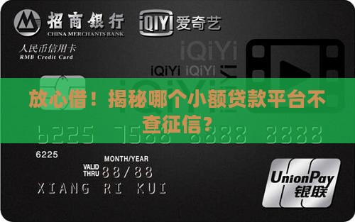 小额贷款平台不看征信的