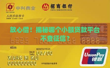 小额贷款平台不看征信的