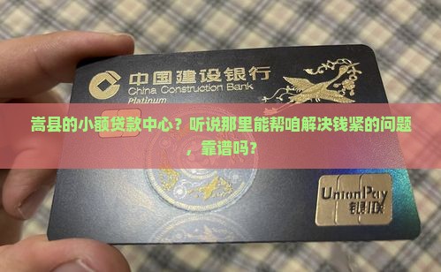 嵩县小额贷款中心