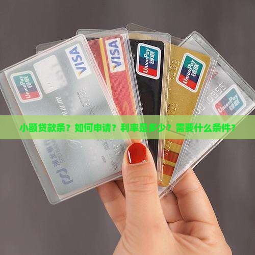 小额贷款条
