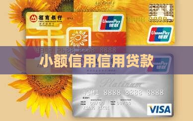 小额信用信用贷款