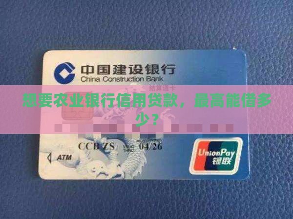 农行信用贷款最多多少