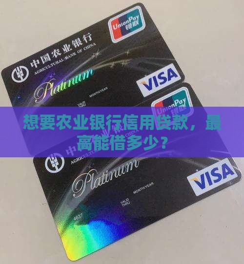 农行信用贷款最多多少