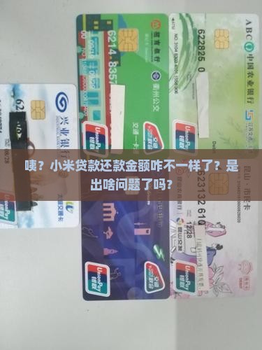 小米贷款还款数不一样