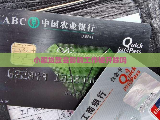 小额贷款会被开除吗