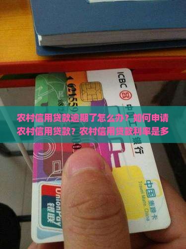 农村信用贷款机构